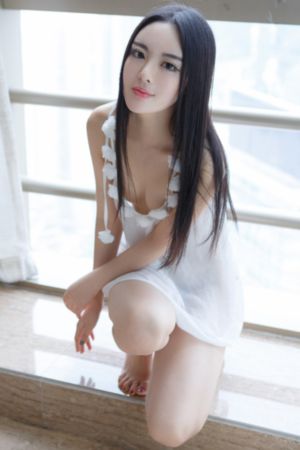 大赢家大鹏电影国语版在线播放