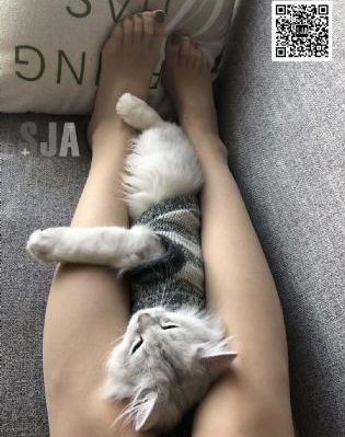 来的都是客免费观看完整版