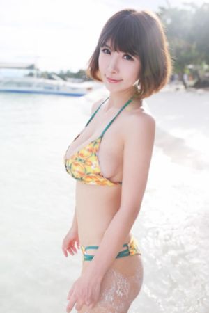 朱元璋胡军版