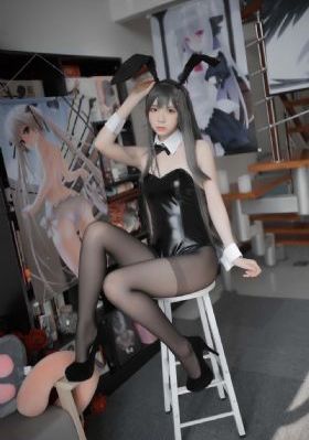 爱情公寓5