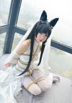 沉浮电视剧完整版免费观看