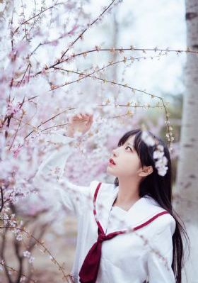 最强女婿完整版电影在线观看免费